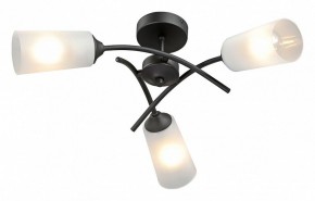 Люстра на штанге Vitaluce V2850 V2850-1/3PL в Кировграде - kirovgrad.ok-mebel.com | фото 2