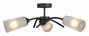 Люстра на штанге Vitaluce V2850 V2850-1/3PL в Кировграде - kirovgrad.ok-mebel.com | фото 3