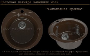 Мойка кухонная MS-1 (D470) в Кировграде - kirovgrad.ok-mebel.com | фото 11