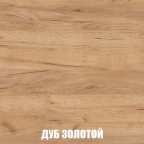 МСП-1 Шкаф 2-х створчатый (Дуб Золотой/Камень темный) в Кировграде - kirovgrad.ok-mebel.com | фото 4