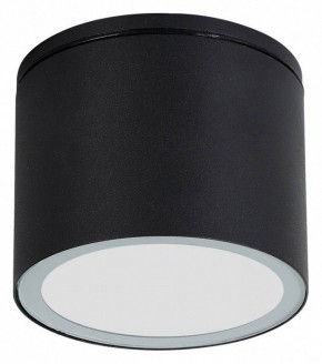 Накладной светильник Arte Lamp Piautos A1913PF-1BK в Кировграде - kirovgrad.ok-mebel.com | фото