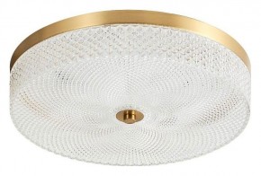 Накладной светильник Arti Lampadari Viro Viro L 1.13.35x9 G в Кировграде - kirovgrad.ok-mebel.com | фото