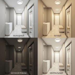 Накладной светильник Denkirs PLATO DK6511-WH в Кировграде - kirovgrad.ok-mebel.com | фото 3