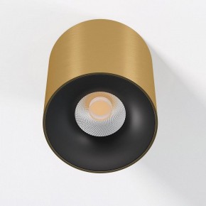 Накладной светильник Elektrostandard Primo 25116/LED в Кировграде - kirovgrad.ok-mebel.com | фото 2