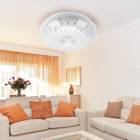 Накладной светильник Эра Классик SPB-6-12-4K Feya в Кировграде - kirovgrad.ok-mebel.com | фото 3
