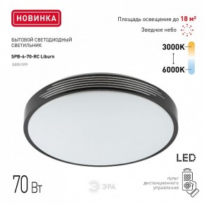 Накладной светильник Эра Классик SPB-6-70-RC Liburn в Кировграде - kirovgrad.ok-mebel.com | фото 10