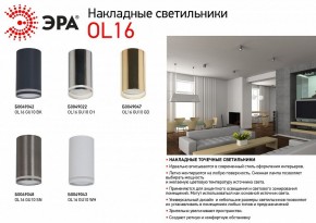 Накладной светильник Эра OL16 GU10 BK Б0049042 в Кировграде - kirovgrad.ok-mebel.com | фото 3