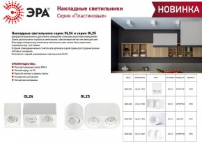 Накладной светильник Эра OL24-1 WH Б0054381 в Кировграде - kirovgrad.ok-mebel.com | фото 2