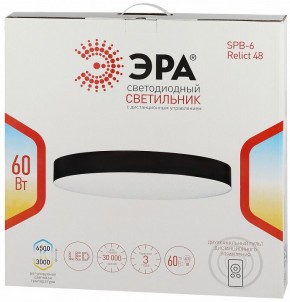Накладной светильник Эра Relict Relict 48 Pult SPB-6-60-RC MG в Кировграде - kirovgrad.ok-mebel.com | фото 8
