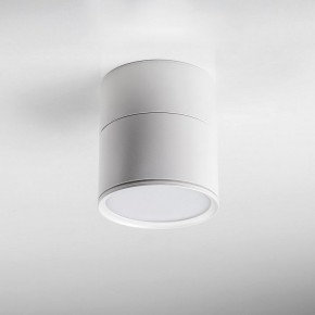 Накладной светильник Lightstar Acuto 215886 в Кировграде - kirovgrad.ok-mebel.com | фото 3