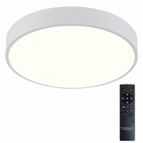 Накладной светильник Natali Kovaltseva  LED LAMPS 81112/5C в Кировграде - kirovgrad.ok-mebel.com | фото 2