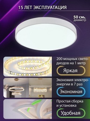 Накладной светильник Natali Kovaltseva  LED LAMPS 81112/5C в Кировграде - kirovgrad.ok-mebel.com | фото 4