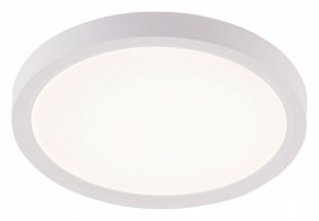 Накладной светильник Natali Kovaltseva PLAIN LED LAMPS 81113/1C в Кировграде - kirovgrad.ok-mebel.com | фото