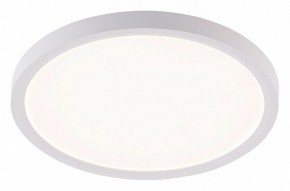 Накладной светильник Natali Kovaltseva PLAIN LED LAMPS 81113/2C в Кировграде - kirovgrad.ok-mebel.com | фото