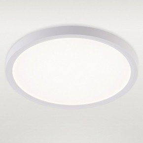 Накладной светильник Natali Kovaltseva PLAIN LED LAMPS 81113/2C в Кировграде - kirovgrad.ok-mebel.com | фото 2