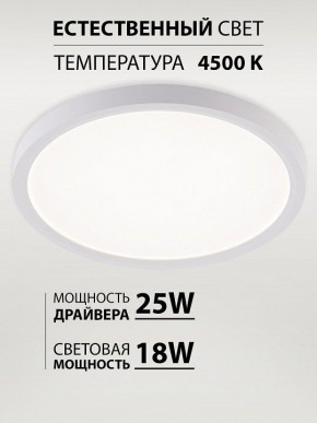 Накладной светильник Natali Kovaltseva PLAIN LED LAMPS 81113/2C в Кировграде - kirovgrad.ok-mebel.com | фото 3