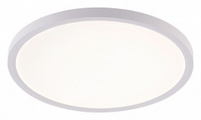 Накладной светильник Natali Kovaltseva PLAIN LED LAMPS 81113/3C в Кировграде - kirovgrad.ok-mebel.com | фото