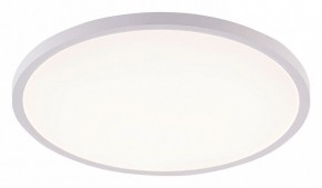 Накладной светильник Natali Kovaltseva PLAIN LED LAMPS 81113/5C в Кировграде - kirovgrad.ok-mebel.com | фото