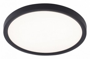 Накладной светильник Natali Kovaltseva PLAIN LED LAMPS 81114/2C в Кировграде - kirovgrad.ok-mebel.com | фото