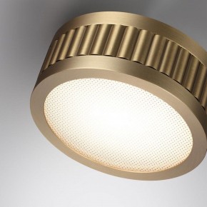 Накладной светильник Odeon Light Manchester 7013/7CL в Кировграде - kirovgrad.ok-mebel.com | фото 5