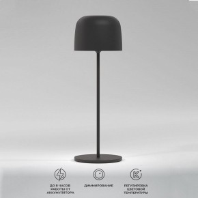 Настольная лампа декоративная Elektrostandard Bitty a069002 в Кировграде - kirovgrad.ok-mebel.com | фото 2