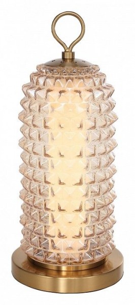 Настольная лампа декоративная ST-Luce SAGUARO SL6144.304.01 в Кировграде - kirovgrad.ok-mebel.com | фото 2