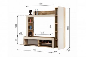 НИКОЛЬ Гостиная (Дуб крафт серый/софт айвори) в Кировграде - kirovgrad.ok-mebel.com | фото 2