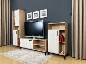 ОСКАР TRIO Гостиная (дуб золотой/сосна белая loft) в Кировграде - kirovgrad.ok-mebel.com | фото 3