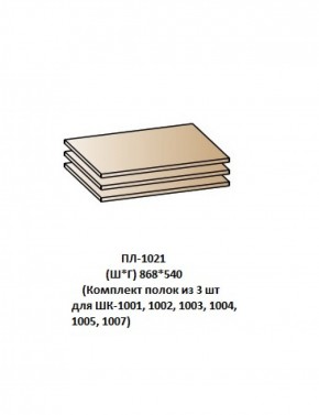 ПЛ-1021 (Комплект полок из 3 шт для ШК-1001, 1002, 1003, 1004, 1005, 1007) в Кировграде - kirovgrad.ok-mebel.com | фото