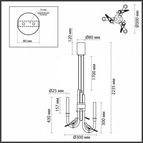 Подвесная люстра Odeon Light Lark 5431/6L в Кировграде - kirovgrad.ok-mebel.com | фото 5