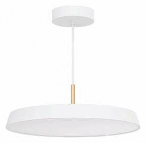 Подвесной светильник Arlight ELEGANT 033925(1) в Кировграде - kirovgrad.ok-mebel.com | фото 2
