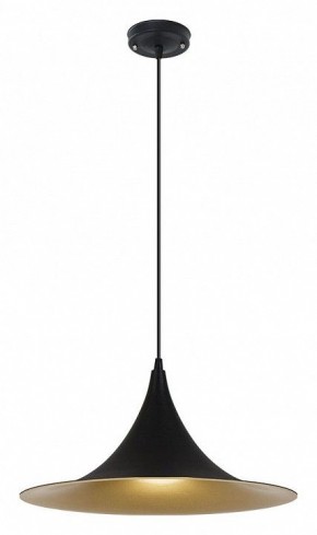 Подвесной светильник Arte Lamp Carmel A7080SP-1BK в Кировграде - kirovgrad.ok-mebel.com | фото 2
