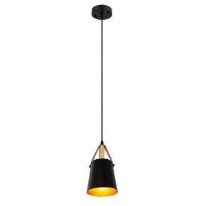 Подвесной светильник Arte Lamp Thomas A7032SP-1BK в Кировграде - kirovgrad.ok-mebel.com | фото 3