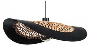 Подвесной светильник Arte Lamp Woodstock A7059SP-1BK в Кировграде - kirovgrad.ok-mebel.com | фото