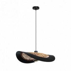 Подвесной светильник Arte Lamp Woodstock A7059SP-1BK в Кировграде - kirovgrad.ok-mebel.com | фото 2