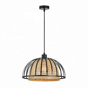 Подвесной светильник Arte Lamp Woodstock A7071SP-1BK в Кировграде - kirovgrad.ok-mebel.com | фото