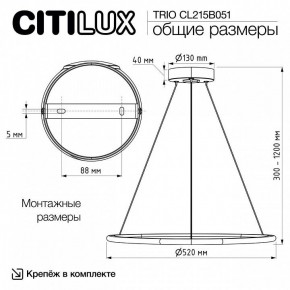 Подвесной светильник Citilux Trio CL215B051 в Кировграде - kirovgrad.ok-mebel.com | фото 8