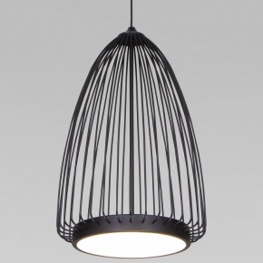 Подвесной светильник Eurosvet Comodita 40009/1 LED черный в Кировграде - kirovgrad.ok-mebel.com | фото