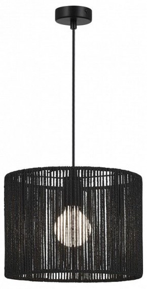 Подвесной светильник EVOLUCE ETTAN SLE6024-403-01 в Кировграде - kirovgrad.ok-mebel.com | фото 2