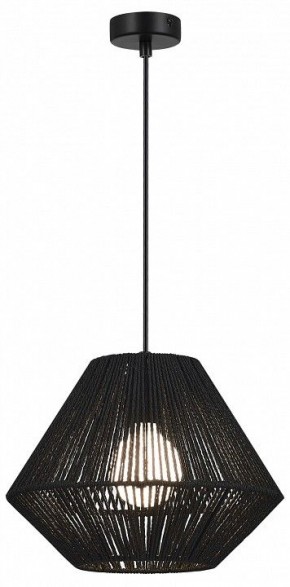 Подвесной светильник EVOLUCE ETTAN SLE6025-403-01 в Кировграде - kirovgrad.ok-mebel.com | фото 2