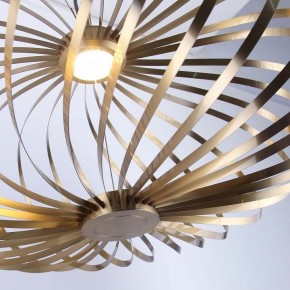 Подвесной светильник Favourite Spring 4680-1P в Кировграде - kirovgrad.ok-mebel.com | фото 5