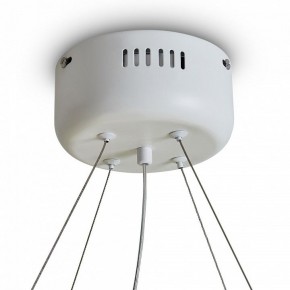 Подвесной светильник Freya Rain FR5546PL-L60W в Кировграде - kirovgrad.ok-mebel.com | фото 9