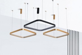 Подвесной светильник Italline IT013-6024 IT013-6024 black 3000K в Кировграде - kirovgrad.ok-mebel.com | фото 5