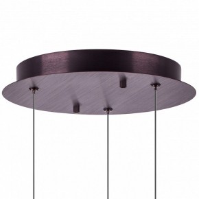 Подвесной светильник Lightstar Caramello 796139 в Кировграде - kirovgrad.ok-mebel.com | фото 13