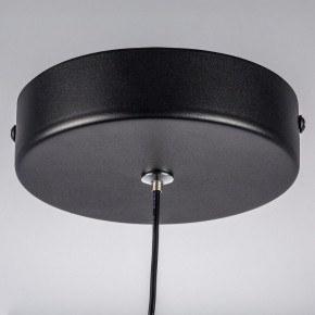 Подвесной светильник Lightstar Saturno 749017 в Кировграде - kirovgrad.ok-mebel.com | фото 12