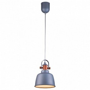 Подвесной светильник Lucia Tucci Industrial INDUSTRIAL 1820.1 SAND SILVER в Кировграде - kirovgrad.ok-mebel.com | фото 2