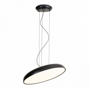 Подвесной светильник Lussole Crook LSP-7360 в Кировграде - kirovgrad.ok-mebel.com | фото 2