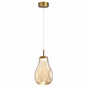 Подвесной светильник Odeon Light Nave 5098/4L в Кировграде - kirovgrad.ok-mebel.com | фото 2