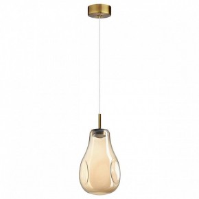 Подвесной светильник Odeon Light Nave 5098/4L в Кировграде - kirovgrad.ok-mebel.com | фото 4