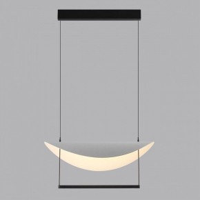 Подвесной светильник Odeon Light Next 7015/20L в Кировграде - kirovgrad.ok-mebel.com | фото 4